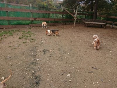 f:id:roukenhome-ann:20181121072835j:plain