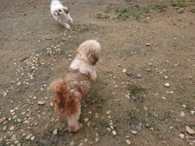 f:id:roukenhome-ann:20181121072940j:plain