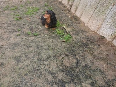 f:id:roukenhome-ann:20181121073011j:plain
