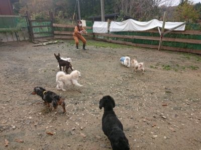 f:id:roukenhome-ann:20181121073019j:plain