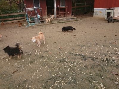 f:id:roukenhome-ann:20181121073031j:plain