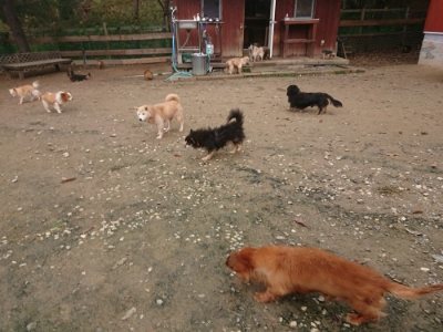 f:id:roukenhome-ann:20181121073108j:plain