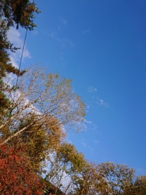 f:id:roukenhome-ann:20181121081347j:plain f:id:roukenhome-ann:20181121081347j:plain