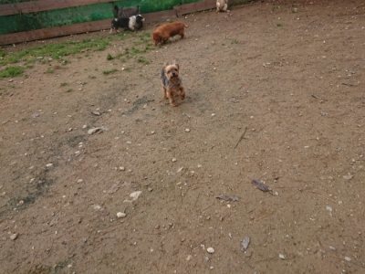 f:id:roukenhome-ann:20181121081418j:plain f:id:roukenhome-ann:20181121081418j:plain