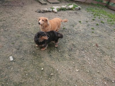 f:id:roukenhome-ann:20181121081426j:plain f:id:roukenhome-ann:20181121081426j:plain