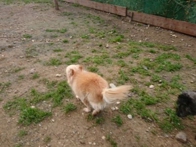 f:id:roukenhome-ann:20181121081507j:plain f:id:roukenhome-ann:20181121081507j:plain