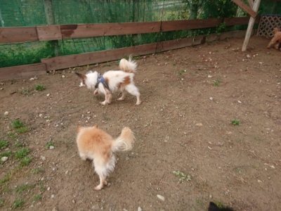 f:id:roukenhome-ann:20181121081530j:plain f:id:roukenhome-ann:20181121081530j:plain