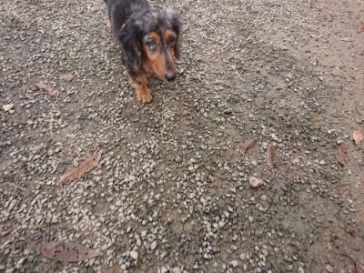 f:id:roukenhome-ann:20181121081557j:plain f:id:roukenhome-ann:20181121081557j:plain