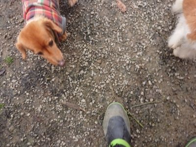 f:id:roukenhome-ann:20181121081609j:plain f:id:roukenhome-ann:20181121081609j:plain