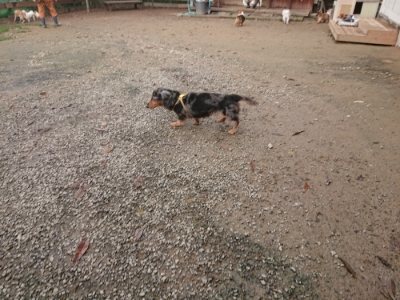 f:id:roukenhome-ann:20181121081642j:plain f:id:roukenhome-ann:20181121081642j:plain