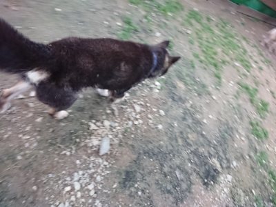 f:id:roukenhome-ann:20181121081659j:plain f:id:roukenhome-ann:20181121081659j:plain