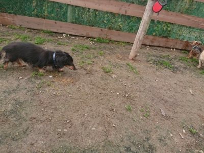 f:id:roukenhome-ann:20181121081724j:plain f:id:roukenhome-ann:20181121081724j:plain