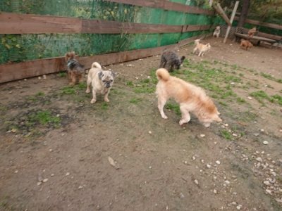 f:id:roukenhome-ann:20181121081732j:plain f:id:roukenhome-ann:20181121081732j:plain