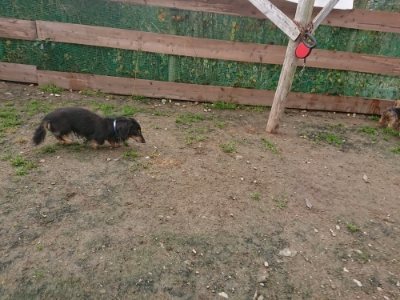 f:id:roukenhome-ann:20181121081751j:plain f:id:roukenhome-ann:20181121081751j:plain
