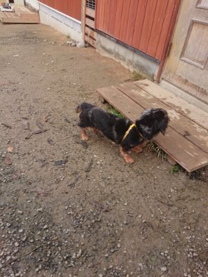 f:id:roukenhome-ann:20181121081804j:plain f:id:roukenhome-ann:20181121081804j:plain