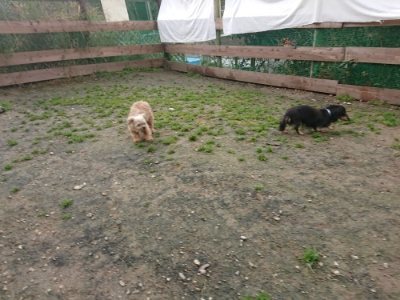 f:id:roukenhome-ann:20181121081823j:plain f:id:roukenhome-ann:20181121081823j:plain
