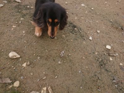 f:id:roukenhome-ann:20181121081836j:plain f:id:roukenhome-ann:20181121081836j:plain