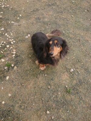 f:id:roukenhome-ann:20181121081845j:plain f:id:roukenhome-ann:20181121081845j:plain