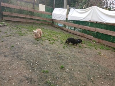 f:id:roukenhome-ann:20181121081853j:plain f:id:roukenhome-ann:20181121081853j:plain
