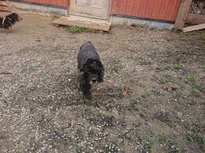 f:id:roukenhome-ann:20181121082001j:plain f:id:roukenhome-ann:20181121082001j:plain