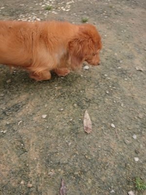 f:id:roukenhome-ann:20181121082013j:plain f:id:roukenhome-ann:20181121082013j:plain