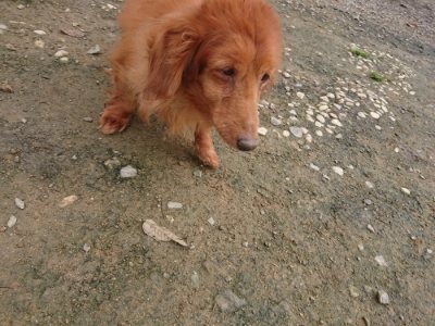 f:id:roukenhome-ann:20181121082051j:plain f:id:roukenhome-ann:20181121082051j:plain