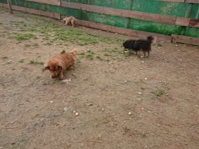 f:id:roukenhome-ann:20181121082222j:plain f:id:roukenhome-ann:20181121082222j:plain