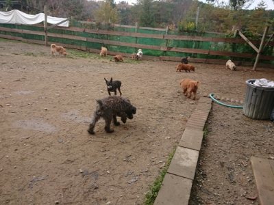 f:id:roukenhome-ann:20181121082241j:plain f:id:roukenhome-ann:20181121082241j:plain
