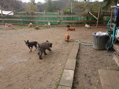 f:id:roukenhome-ann:20181121082245j:plain f:id:roukenhome-ann:20181121082245j:plain
