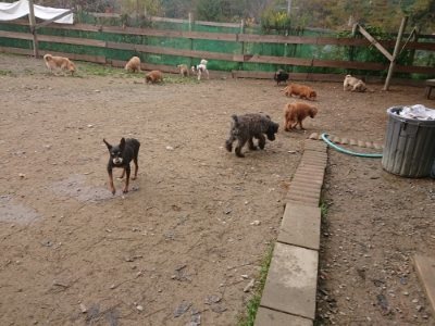 f:id:roukenhome-ann:20181121082250j:plain f:id:roukenhome-ann:20181121082250j:plain