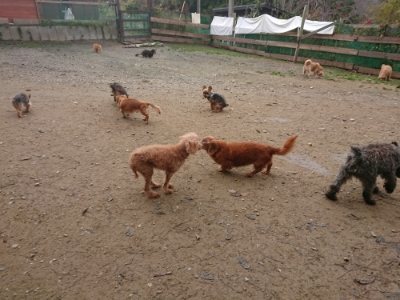 f:id:roukenhome-ann:20181121082326j:plain f:id:roukenhome-ann:20181121082326j:plain
