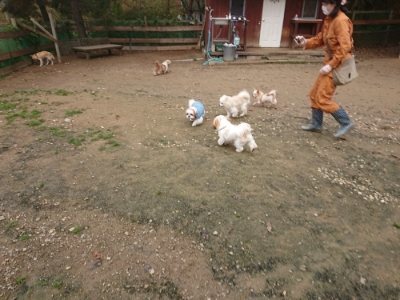f:id:roukenhome-ann:20181121082347j:plain f:id:roukenhome-ann:20181121082347j:plain