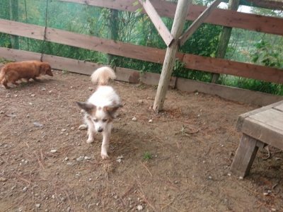 f:id:roukenhome-ann:20181121082456j:plain f:id:roukenhome-ann:20181121082456j:plain