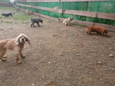 f:id:roukenhome-ann:20181121082501j:plain f:id:roukenhome-ann:20181121082501j:plain