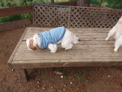 f:id:roukenhome-ann:20181121082554j:plain f:id:roukenhome-ann:20181121082554j:plain