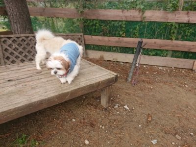 f:id:roukenhome-ann:20181121082632j:plain f:id:roukenhome-ann:20181121082632j:plain
