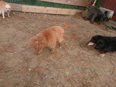 f:id:roukenhome-ann:20181121082641j:plain f:id:roukenhome-ann:20181121082641j:plain