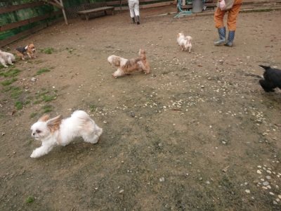 f:id:roukenhome-ann:20181121082651j:plain f:id:roukenhome-ann:20181121082651j:plain