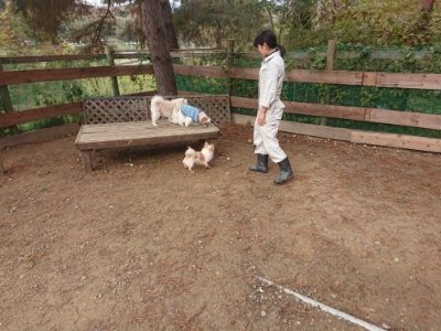 f:id:roukenhome-ann:20181121082655j:plain f:id:roukenhome-ann:20181121082655j:plain