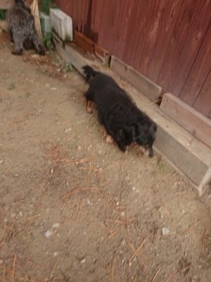 f:id:roukenhome-ann:20181121082704j:plain f:id:roukenhome-ann:20181121082704j:plain