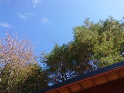 f:id:roukenhome-ann:20181121082716j:plain f:id:roukenhome-ann:20181121082716j:plain