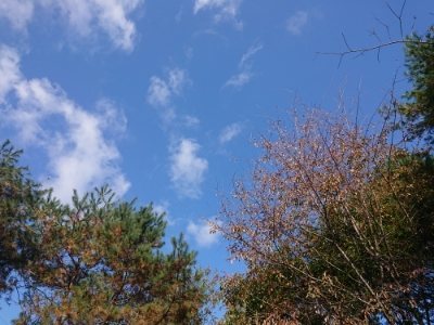 f:id:roukenhome-ann:20181121082732j:plain f:id:roukenhome-ann:20181121082732j:plain
