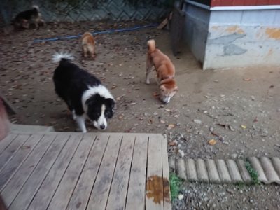 f:id:roukenhome-ann:20181121082737j:plain f:id:roukenhome-ann:20181121082737j:plain