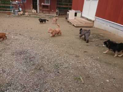 f:id:roukenhome-ann:20181121082827j:plain f:id:roukenhome-ann:20181121082827j:plain