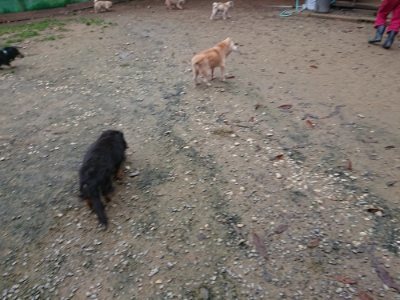 f:id:roukenhome-ann:20181122083329j:plain