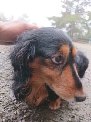 f:id:roukenhome-ann:20181122083342j:plain