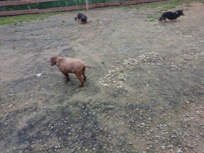 f:id:roukenhome-ann:20181122083351j:plain
