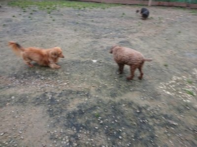 f:id:roukenhome-ann:20181122083355j:plain