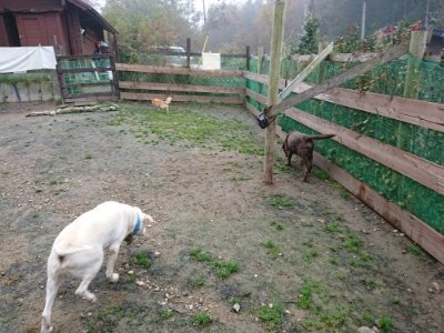 f:id:roukenhome-ann:20181122083634j:plain