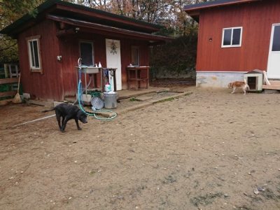 f:id:roukenhome-ann:20181122083643j:plain